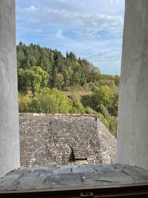 Maison De Village Avec Vue 4/5 Personnes Lou Rouchou Voutezac Exterior foto