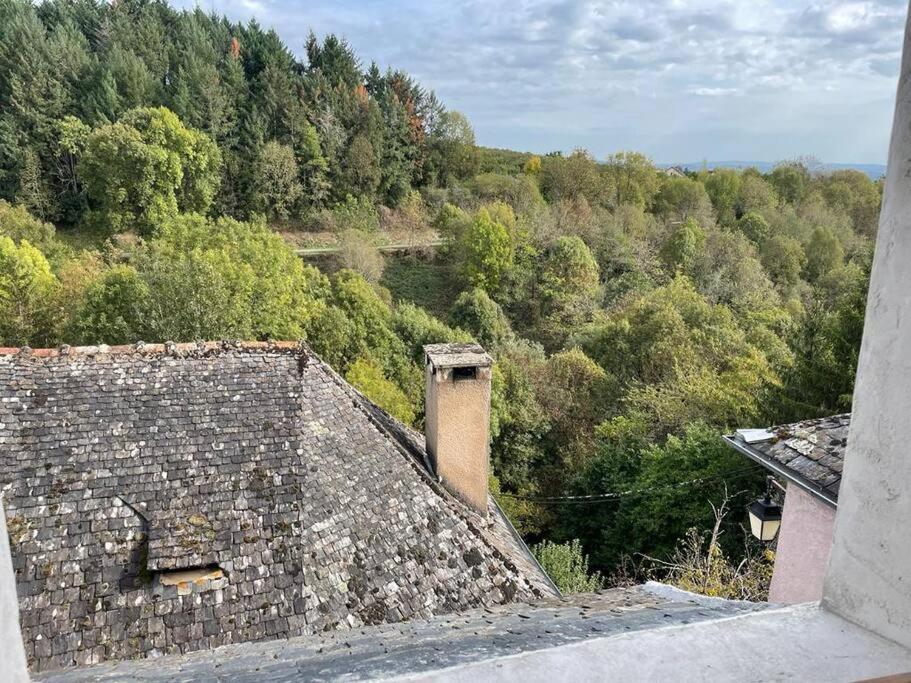 Maison De Village Avec Vue 4/5 Personnes Lou Rouchou Voutezac Exterior foto